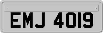 EMJ4019