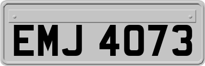 EMJ4073