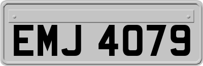 EMJ4079