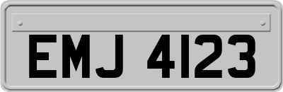EMJ4123