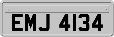 EMJ4134