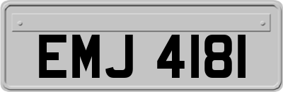 EMJ4181