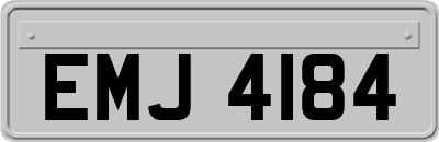 EMJ4184