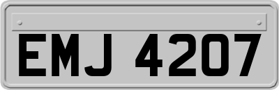 EMJ4207