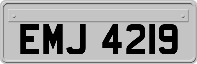 EMJ4219