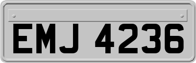EMJ4236
