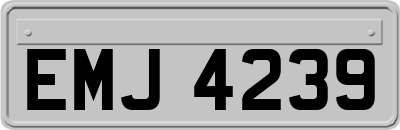 EMJ4239