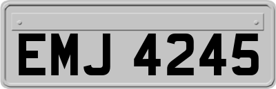 EMJ4245