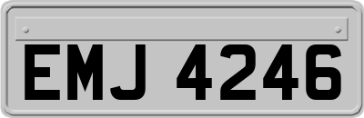 EMJ4246