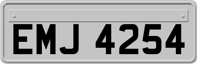 EMJ4254