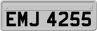 EMJ4255