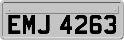 EMJ4263