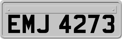 EMJ4273