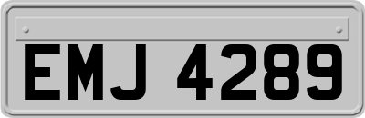 EMJ4289