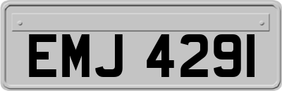 EMJ4291