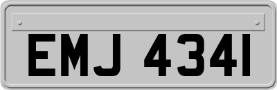 EMJ4341