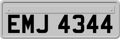 EMJ4344