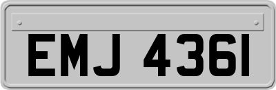 EMJ4361