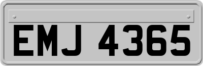 EMJ4365