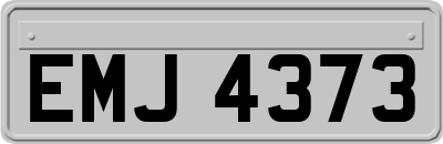 EMJ4373