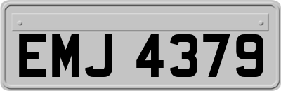 EMJ4379