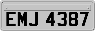 EMJ4387
