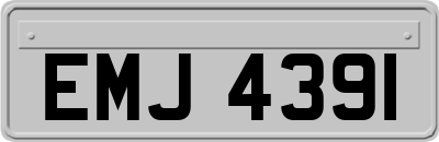 EMJ4391