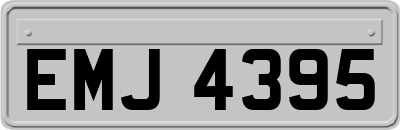 EMJ4395