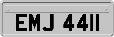 EMJ4411