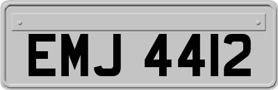 EMJ4412