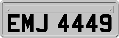 EMJ4449