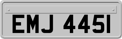EMJ4451