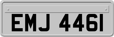 EMJ4461