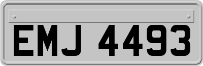 EMJ4493
