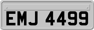 EMJ4499