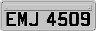 EMJ4509