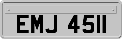 EMJ4511
