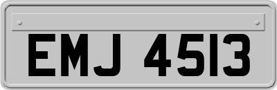 EMJ4513