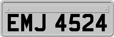 EMJ4524
