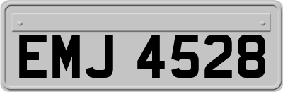 EMJ4528