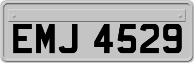 EMJ4529
