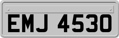 EMJ4530