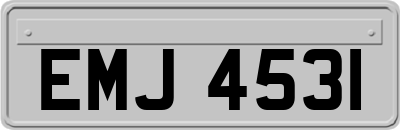 EMJ4531