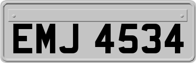 EMJ4534
