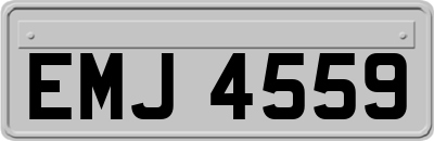 EMJ4559