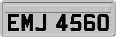EMJ4560