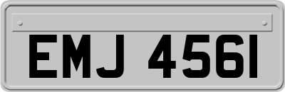 EMJ4561