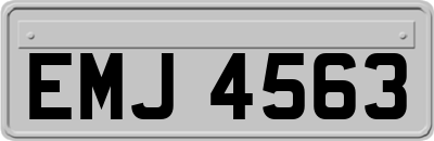 EMJ4563
