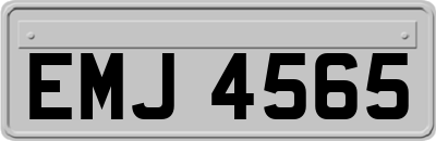 EMJ4565