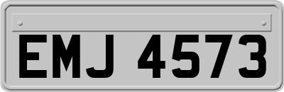 EMJ4573